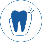 Illustration of a tooth with gums for gum recession